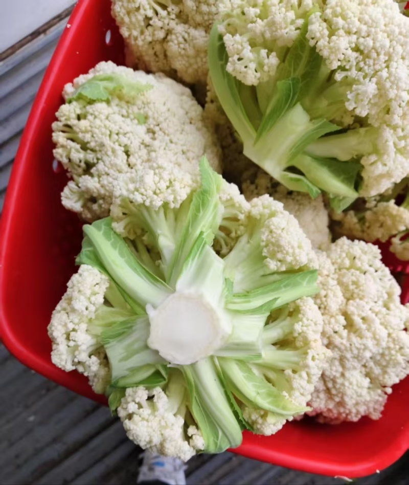 花菜市场货工厂货大量供应