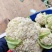 花菜市场货工厂货大量供应