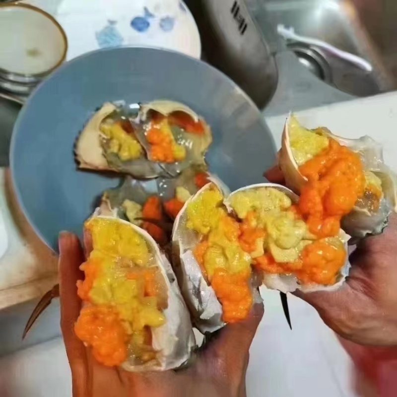 膏蟹缅甸蟹铁蟹螃蟹孟加拉蟹印度蟹印尼蟹青蟹