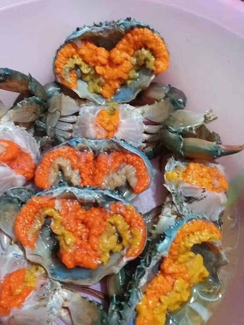 膏蟹缅甸蟹铁蟹螃蟹孟加拉蟹印度蟹印尼蟹青蟹