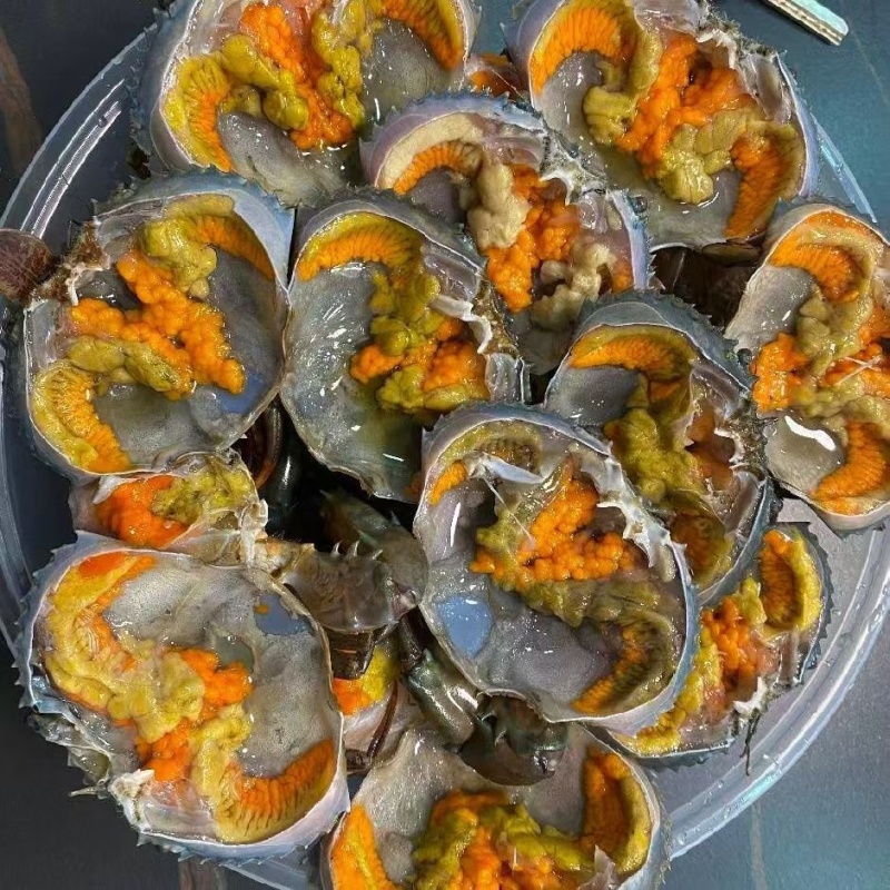 膏蟹缅甸蟹铁蟹螃蟹孟加拉蟹印度蟹印尼蟹青蟹
