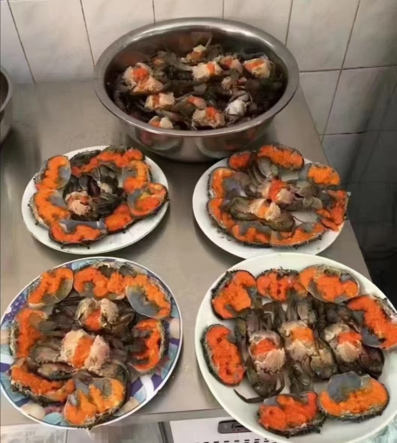 膏蟹缅甸蟹铁蟹螃蟹孟加拉蟹印度蟹印尼蟹青蟹