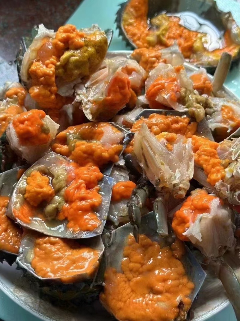 膏蟹缅甸蟹铁蟹螃蟹孟加拉蟹印度蟹印尼蟹青蟹