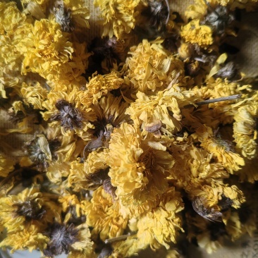 生地，熟地，怀菊花.