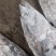 【推荐】炸弹鱼/一手货源/视频看货/量大优惠/欢迎咨询