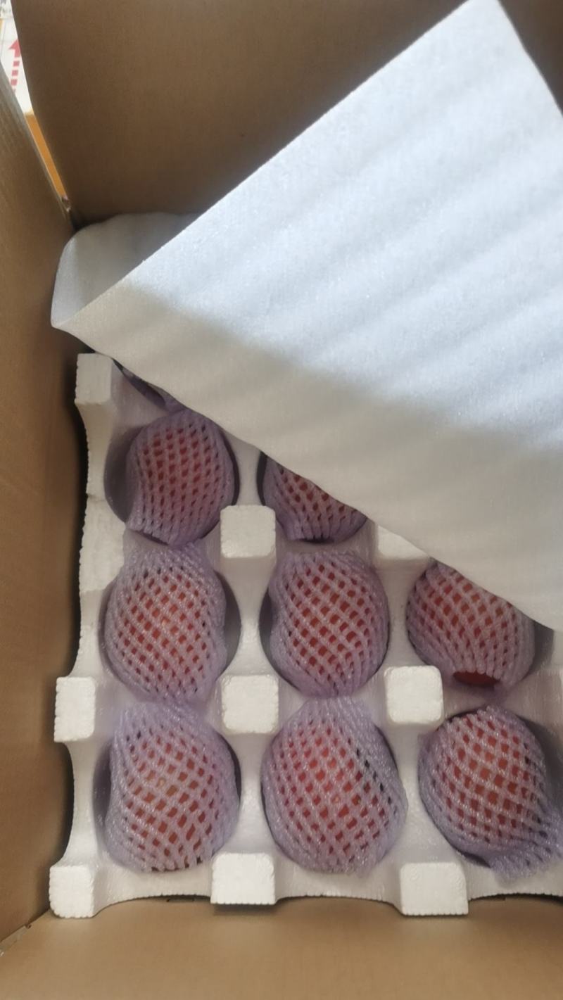 普罗旺斯精品西红柿全年供应需要的客户可以联系，各种规格包