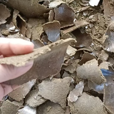 棉籽饼有机肥，底肥