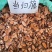 中药材当归藤大力王筛其蔃虎尾草500克包邮野生扇乌蒲黄