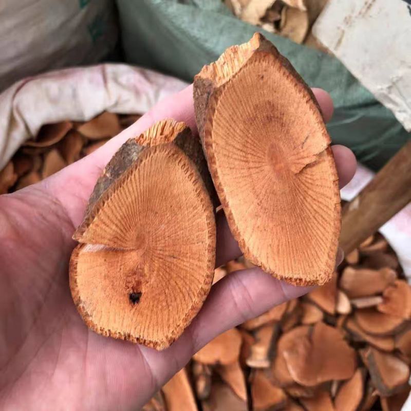 中药材当归藤大力王筛其蔃虎尾草500克包邮野生扇乌蒲黄