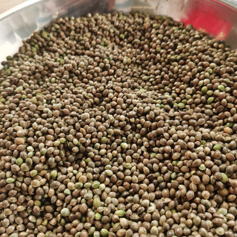火麻