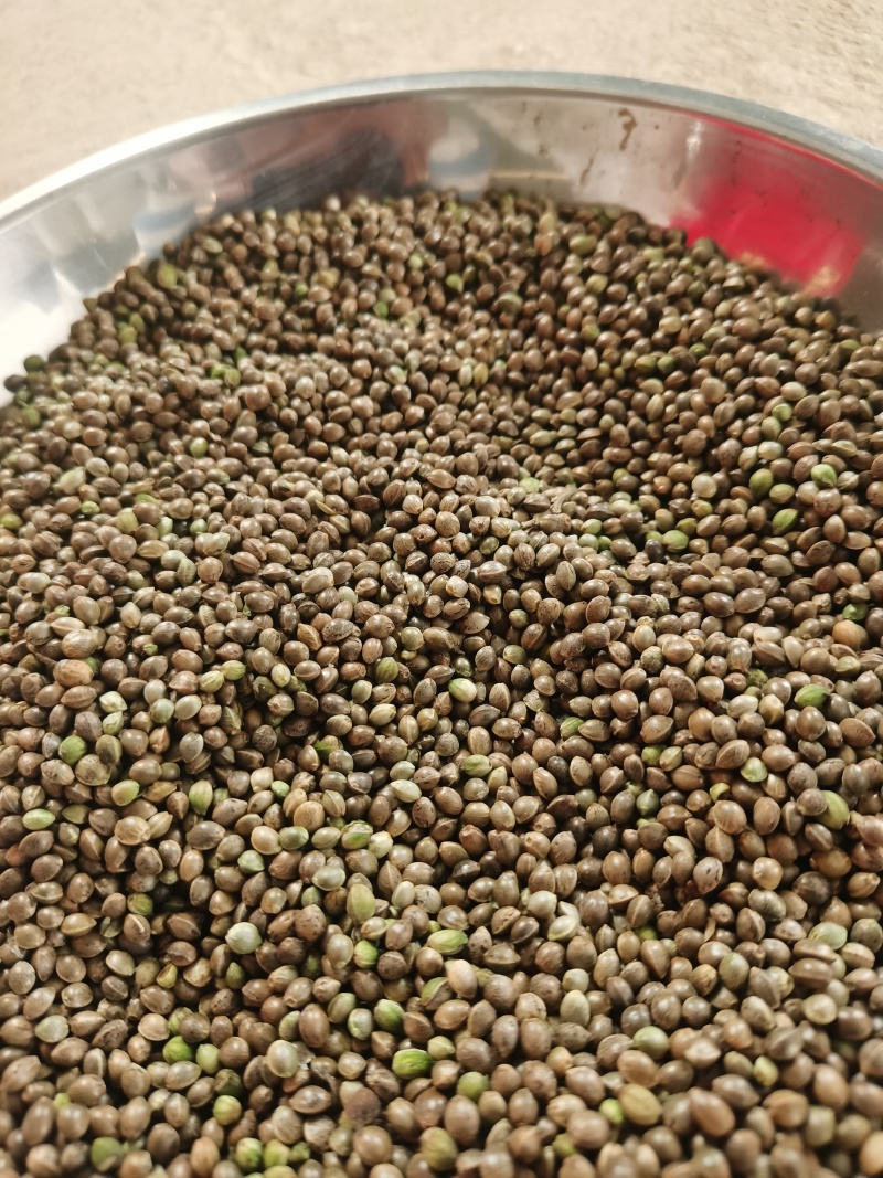 火麻