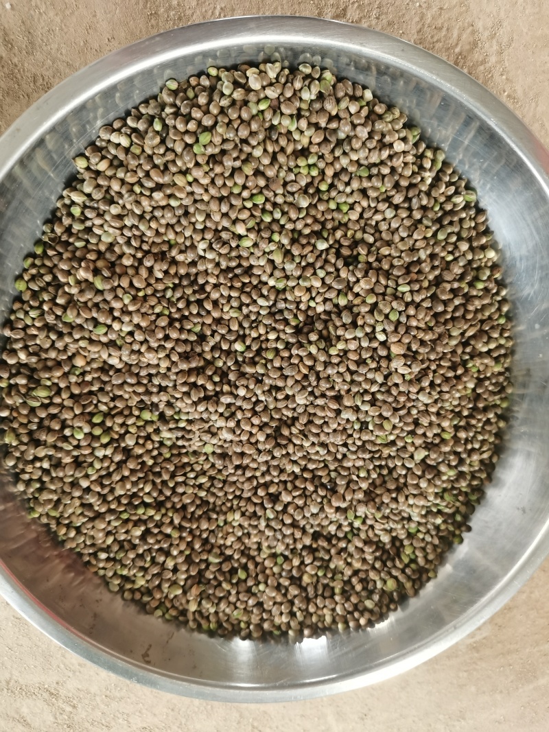 火麻