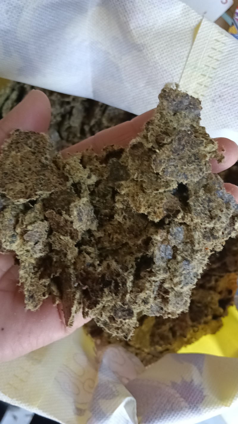 优质棉籽饼有机肥富含丰富有机质氮磷钾适合所有农作物种植。