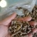 优质棉籽饼有机肥富含丰富有机质氮磷钾适合所有农作物种植。