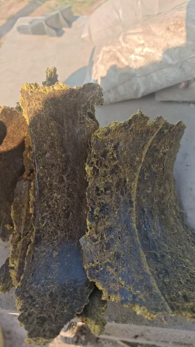 优质棉籽饼有机肥富含丰富有机质氮磷钾适合所有农作物种植。