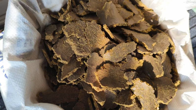 优质棉籽饼有机肥富含丰富有机质氮磷钾适合所有农作物种植。