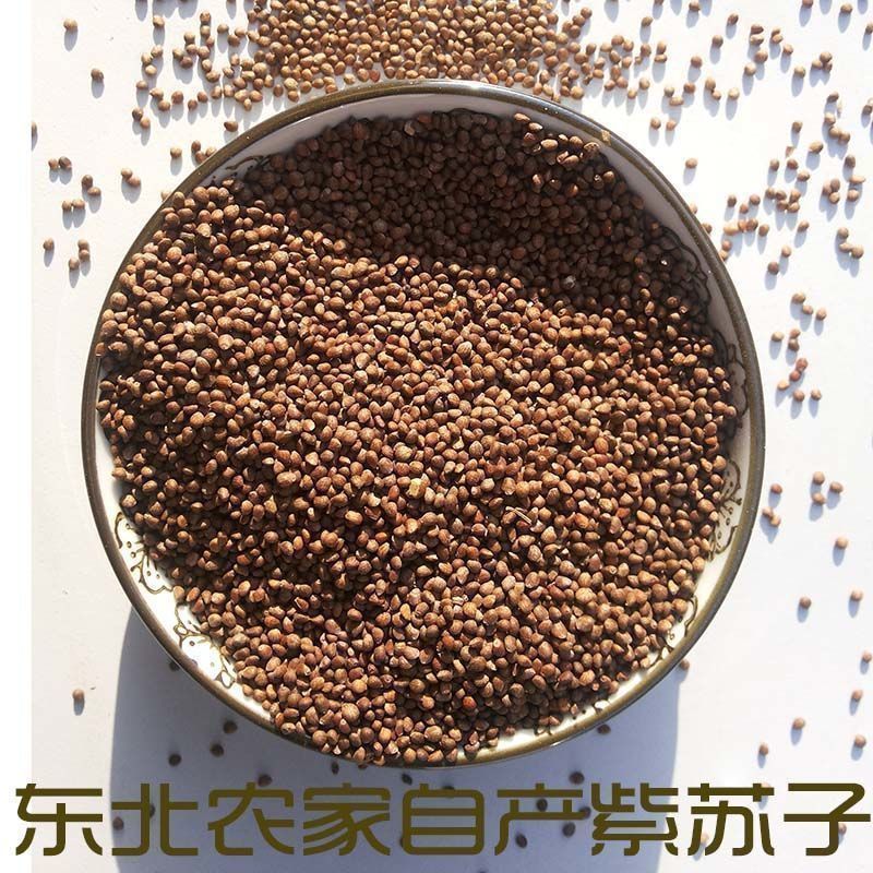 批发现货紫苏子紫苏子老兵诚信中药材量大从优h