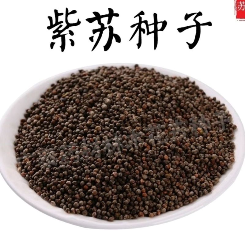 批发现货紫苏子紫苏子老兵诚信中药材量大从优h
