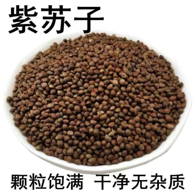 批发现货紫苏子紫苏子老兵诚信中药材量大从优h