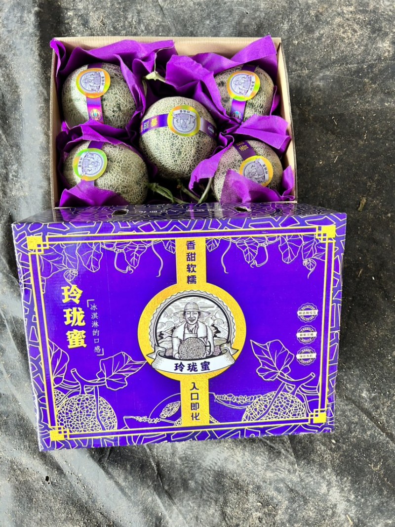 玫珑密瓜对接各大超市电商海南哈密瓜网纹瓜欢迎订购