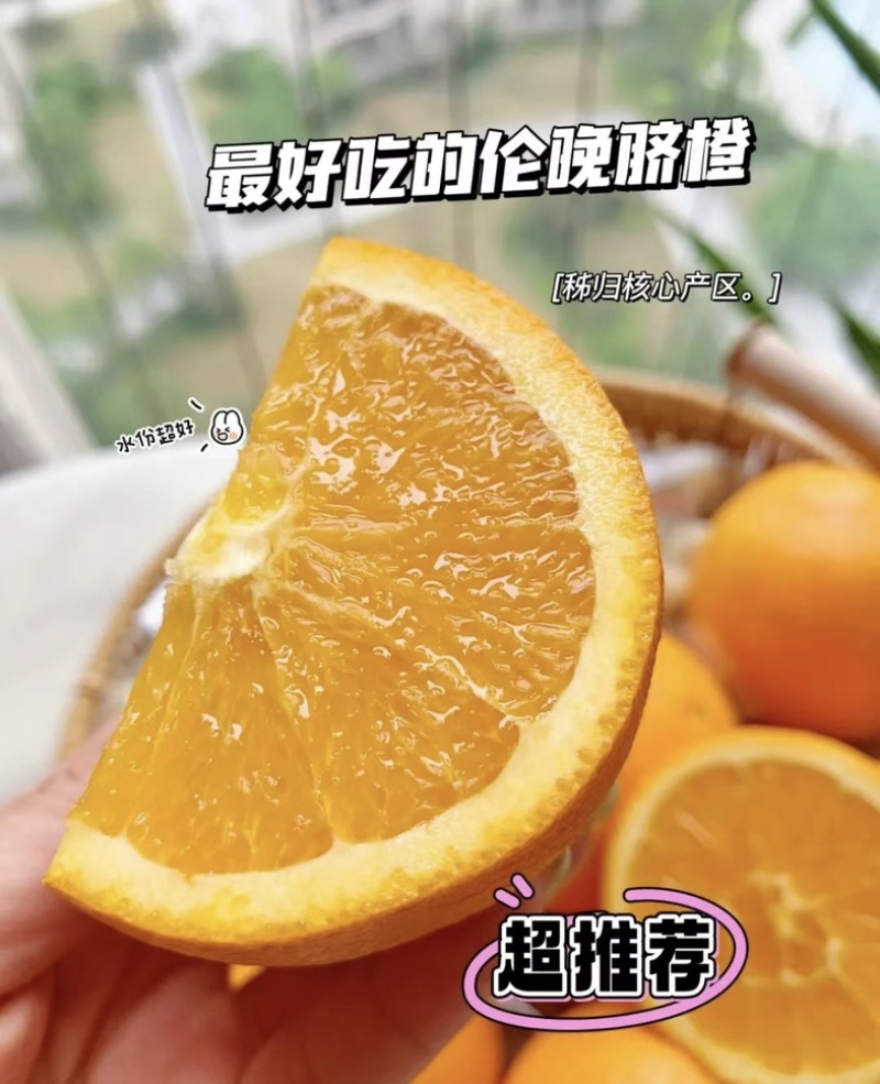 伦晚脐橙*口感鲜美多汁化渣，可实地考察视频发布全国