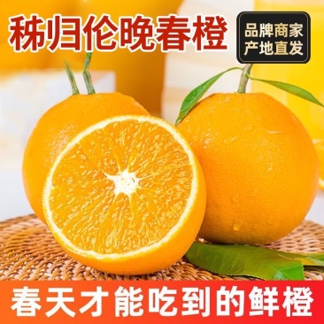 伦晚脐橙*口感鲜美多汁化渣，可实地考察视频发布全国