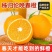 伦晚脐橙*口感鲜美多汁化渣，可实地考察视频发布全国