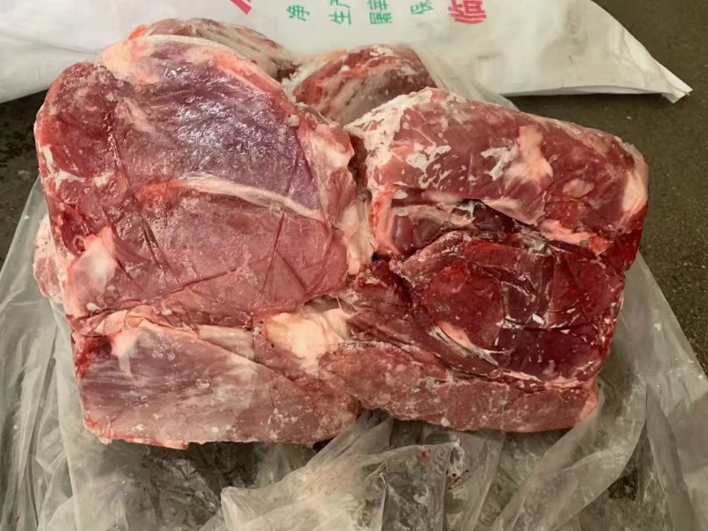 母猪龟健新货