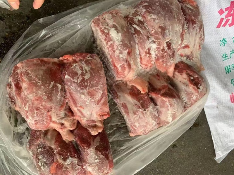 母猪龟健新货