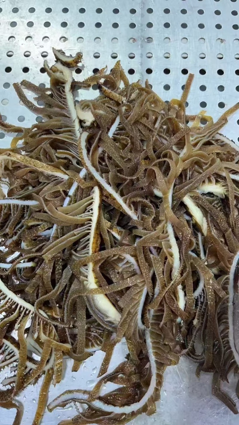 茶色千层黑千层毛肚牛百叶火锅食材商用牛杂串串店自助餐
