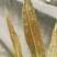 石伟四川药用石伟多款选择性，质量保证无杂质