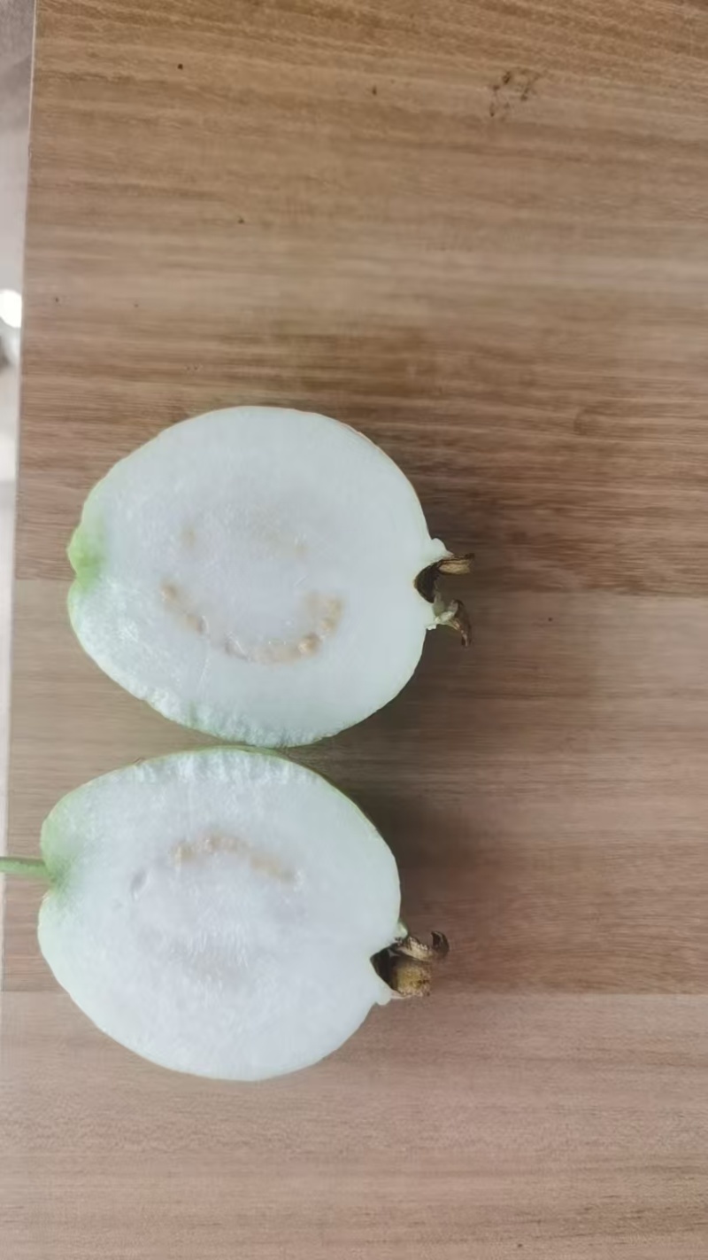 精品白心番石榴一件代发全国可发产地直发