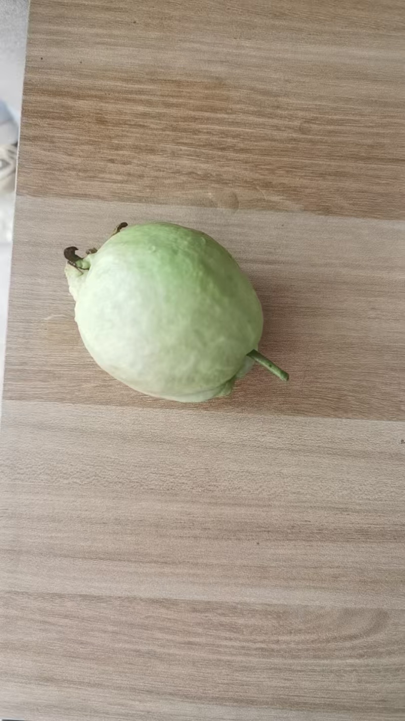 精品白心番石榴一件代发全国可发产地直发