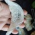 干挑大燕盏CAIQ溯源码燕窝大燕条燕碎一件也是批发价