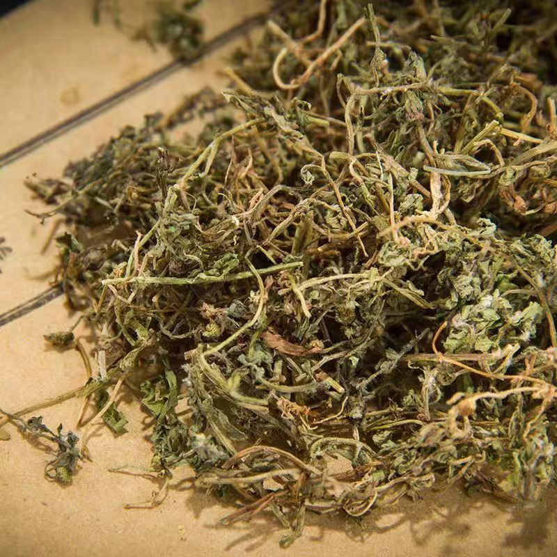 鹅不食草种子新采鹅不食草种籽通鼻塞田间菊科草籽石胡荽种子