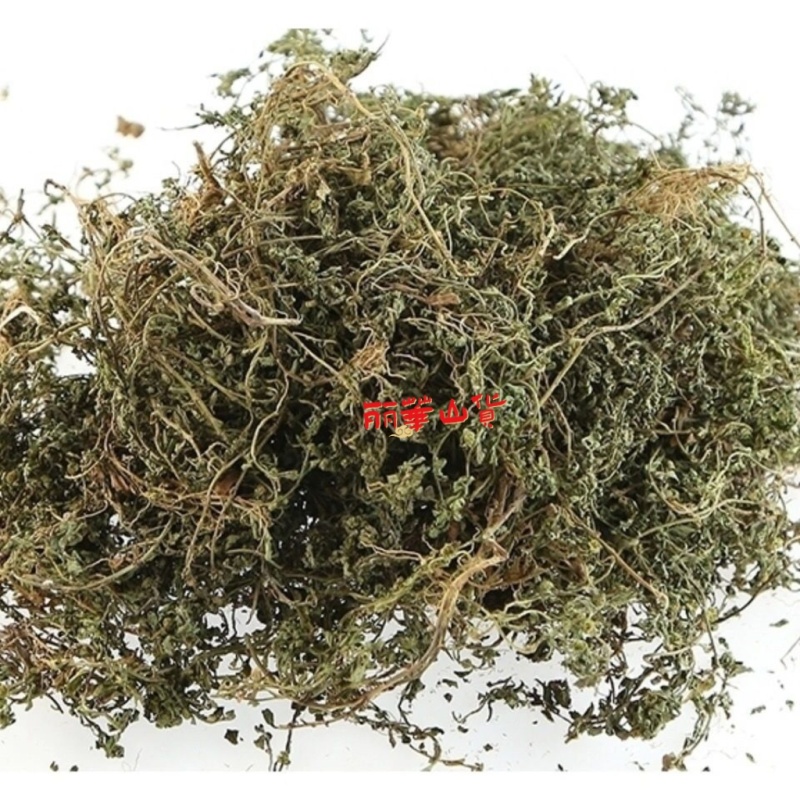 鹅不食草种子新采鹅不食草种籽通鼻塞田间菊科草籽石胡荽种子