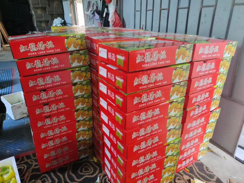 福建漳州云霄下河杨桃青果礼盒自家果园价格美丽