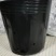 50×50营养钵150个，加厚黑色育苗杯