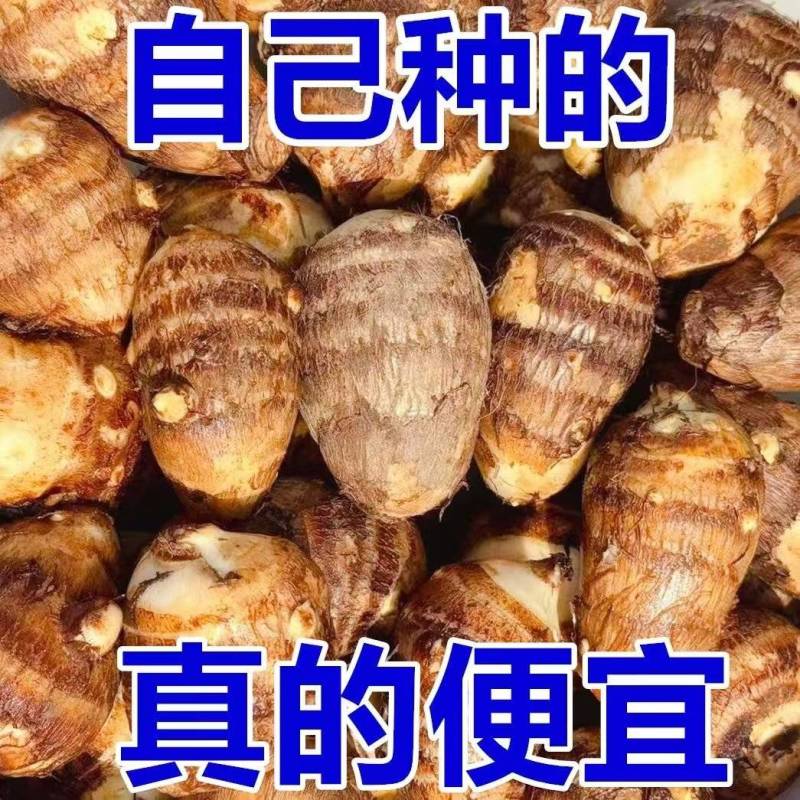 852毛芋头产地直发全国，接电商，市场，超市供应