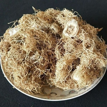 大葱根中药材/天然纯葱根/大葱根须/新鲜干货中草药