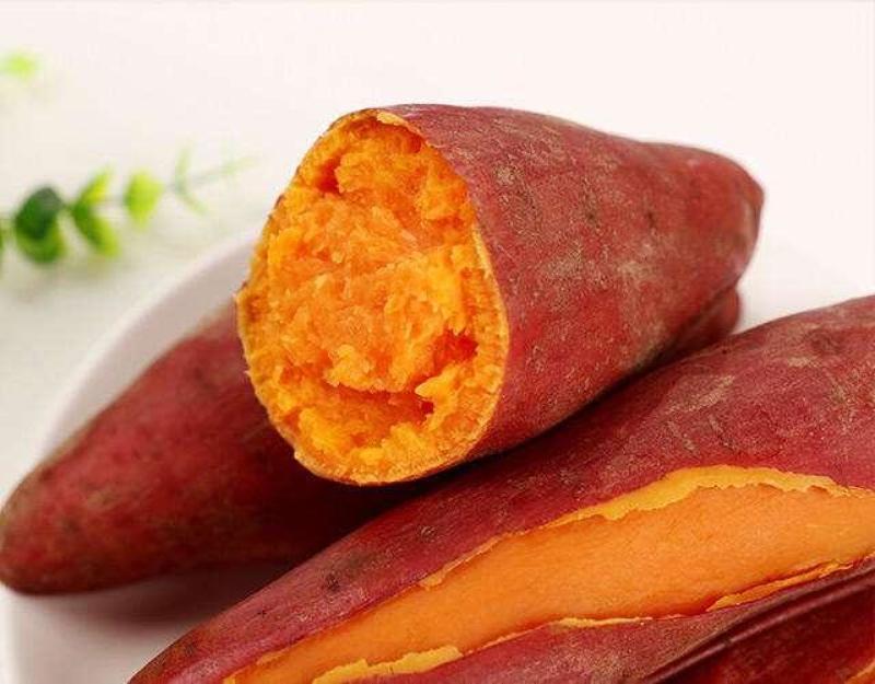 河北吴桥西瓜红白哈蜜地瓜蜜薯类别大全