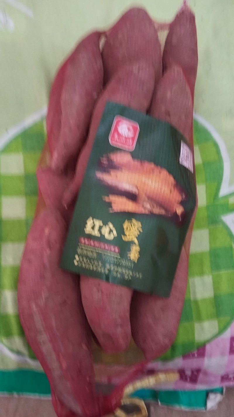 河北吴桥西瓜红白哈蜜地瓜蜜薯类别大全