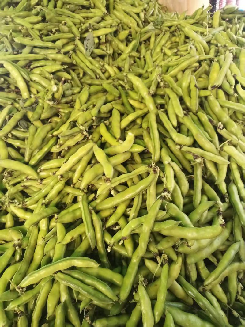 水果蚕豆