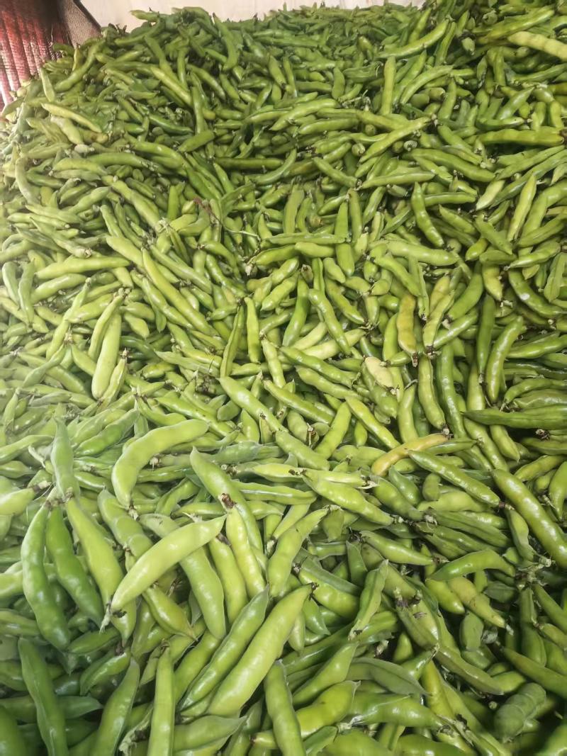 水果蚕豆
