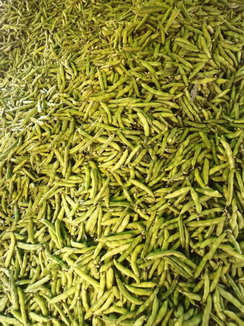 水果蚕豆
