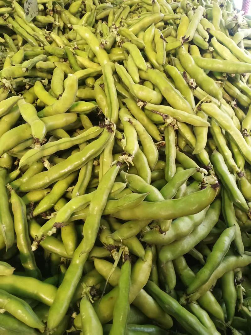 水果蚕豆