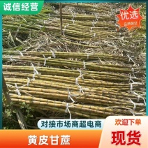 水果甘蔗黄金水果甘蔗薄皮甘蔗榨汁甘蔗批发