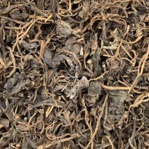 马齿苋【包邮】三斤起发货可批量可零售量大从优