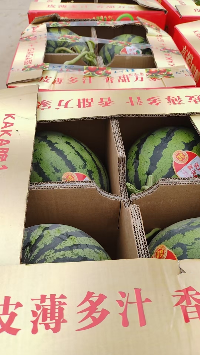 陕西美都西瓜无籽西瓜货源充足皮薄多汁商超市场平台