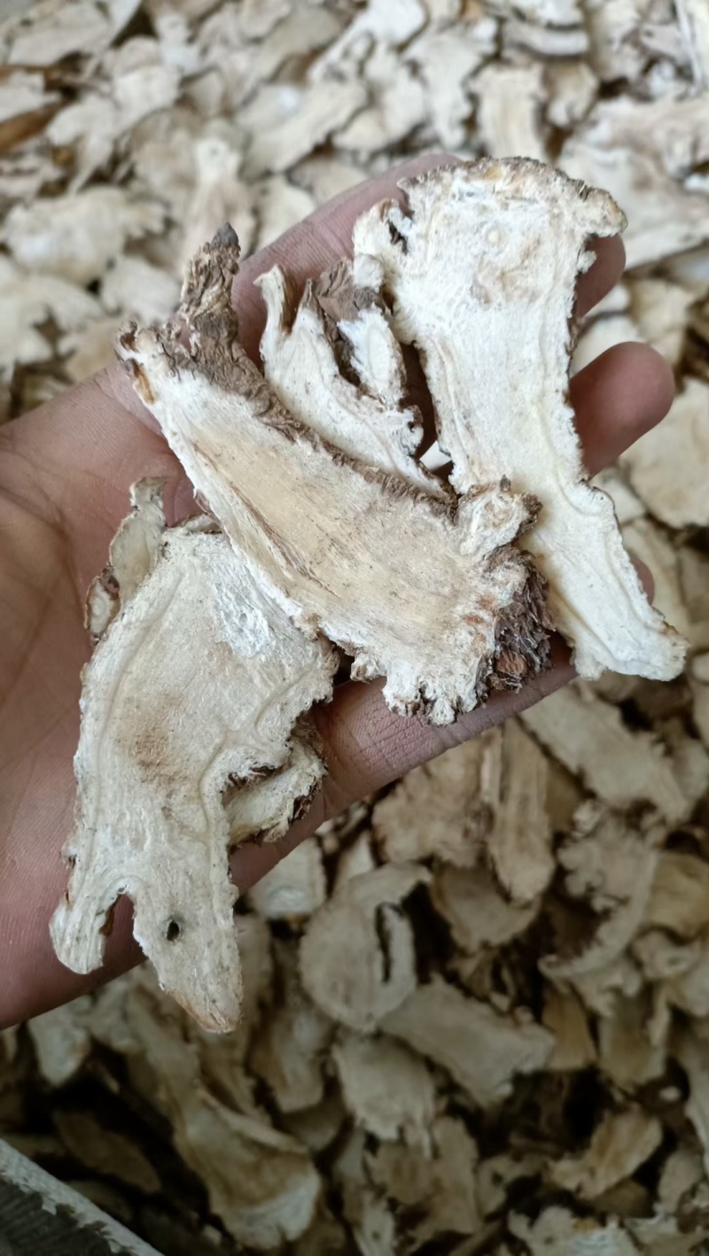 正规货源当归特卖超高性价比随时可聊滋补养生